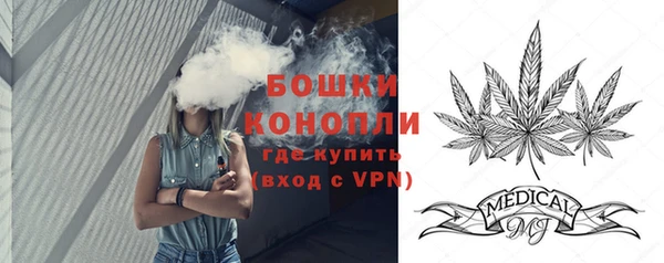 альфа пвп Новодвинск