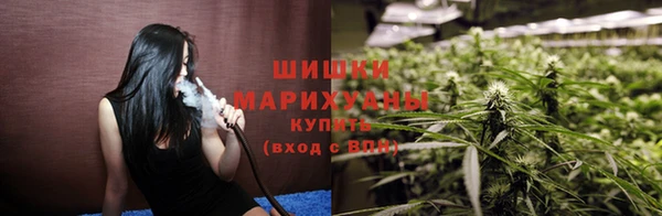 ГАЛЛЮЦИНОГЕННЫЕ ГРИБЫ Новозыбков