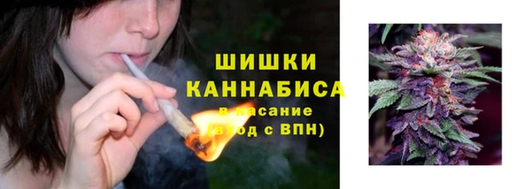 ГАЛЛЮЦИНОГЕННЫЕ ГРИБЫ Новозыбков