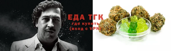ГАЛЛЮЦИНОГЕННЫЕ ГРИБЫ Новозыбков