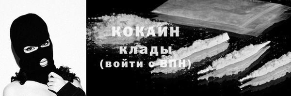 ГАЛЛЮЦИНОГЕННЫЕ ГРИБЫ Новозыбков