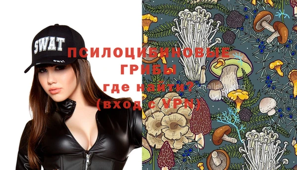 альфа пвп Новодвинск