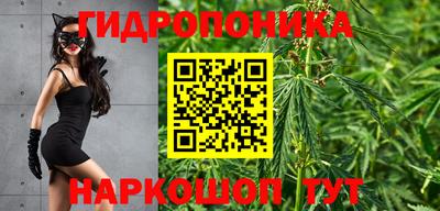 гидропоника Заводоуковск