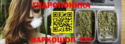 гидропоника Заводоуковск