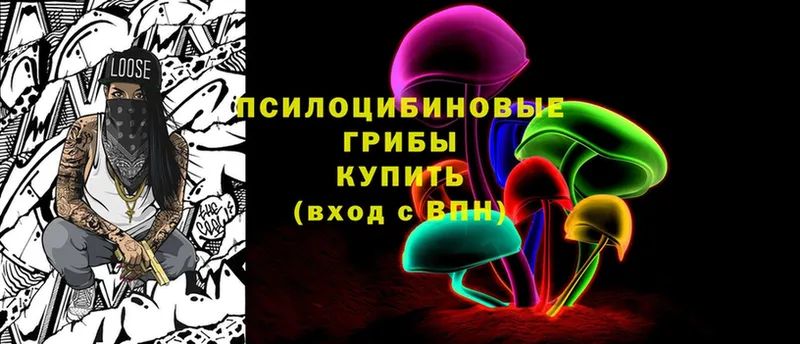 Галлюциногенные грибы Psilocybe  Лабытнанги 