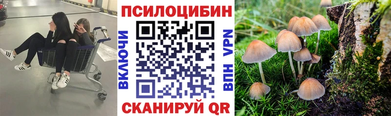 blacksprut сайт  где продают   Лабытнанги  Галлюциногенные грибы Psilocybe 