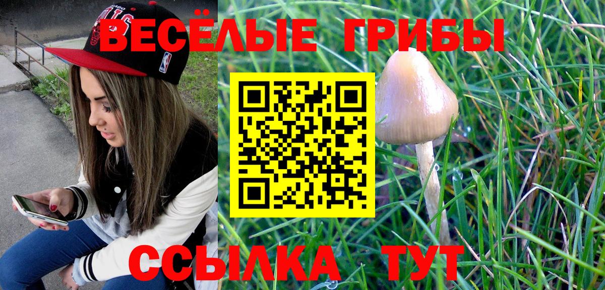 Псилоцибиновые грибы Psilocybe Лабытнанги