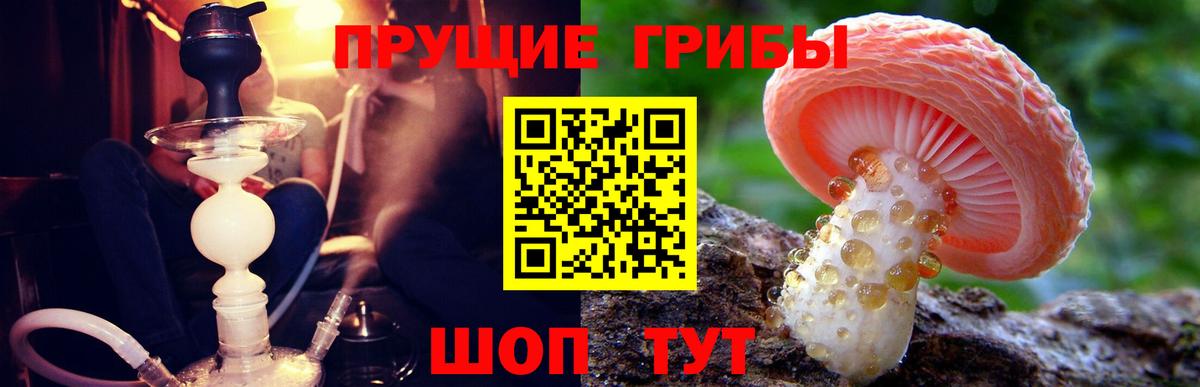 Псилоцибиновые грибы GOLDEN TEACHER Лабытнанги